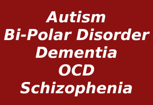 Image with words: Autism, Bi-Polar Disorder,Dementia,OCD, Schizophrenia