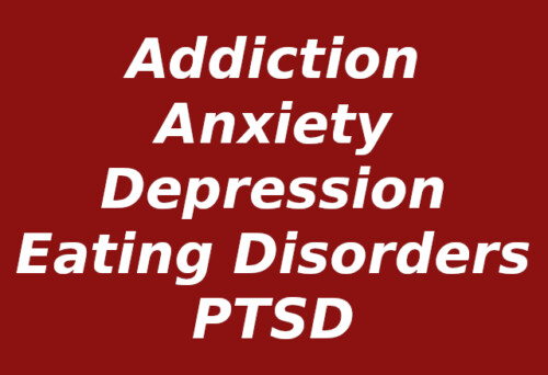 addiction, anxiety, eating disorders, PTSD