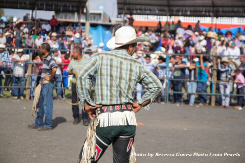 Cowboy facing croud in rodeo ring