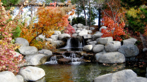 pond with rocks and waterfall