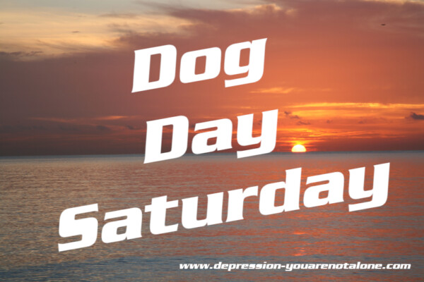 the words Dog Day Saturday over ocean sunrise (copyrighted)