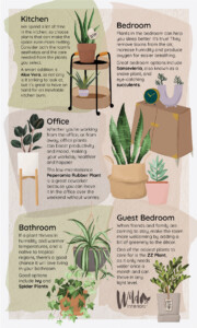 indoor planting chart