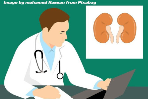 doctor at computer with image of kidneys in upper right corner