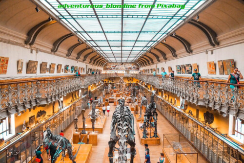 museum interior wide view