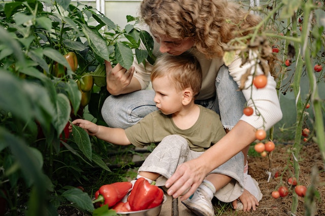 mother and kids picking gegetables